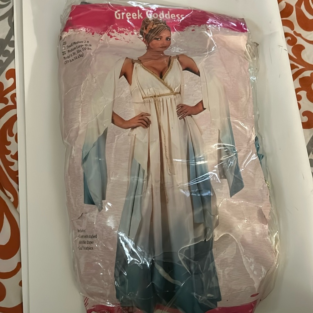 Women’s Greek Goddess costume